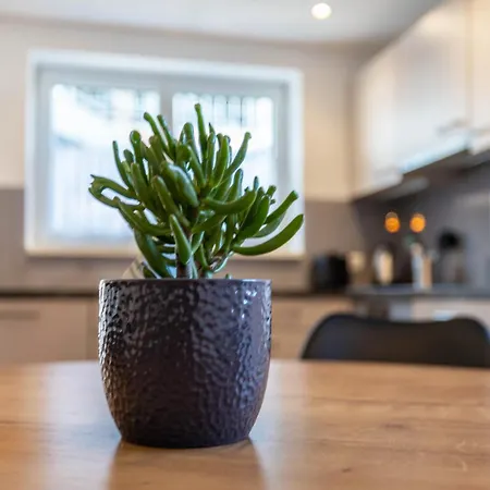 Winder 2 Apartamento Lustenau