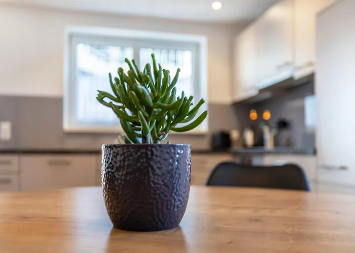 Winder 2 Apartamento Lustenau